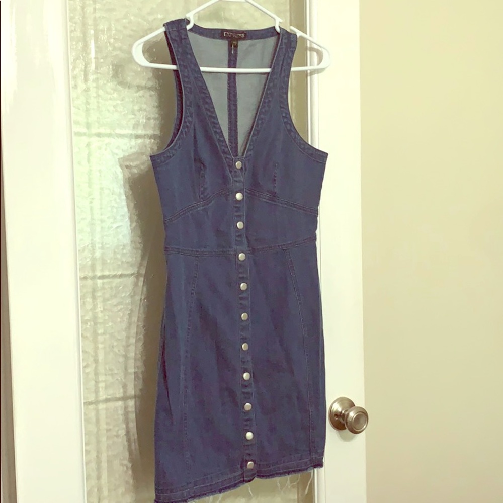 Express Button down Denim Dress